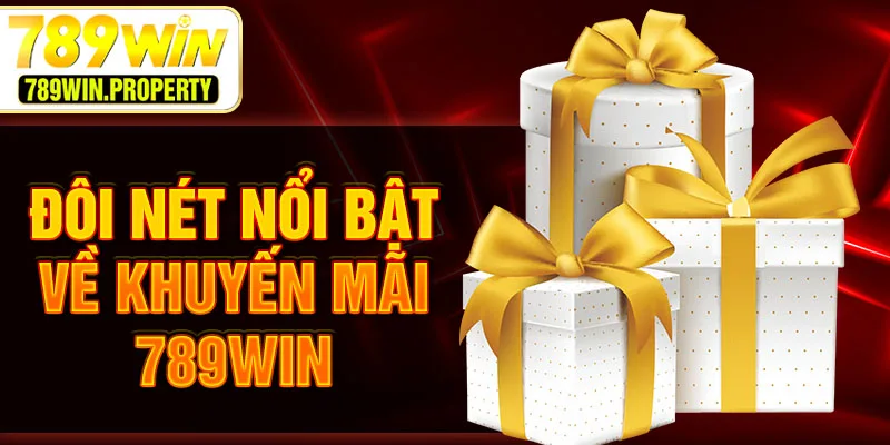 Đôi nét nổi bật về khuyến mãi 789WIN