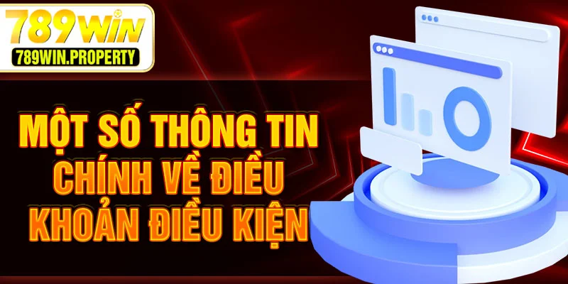 Một số thông tin chính về điều khoản điều kiện