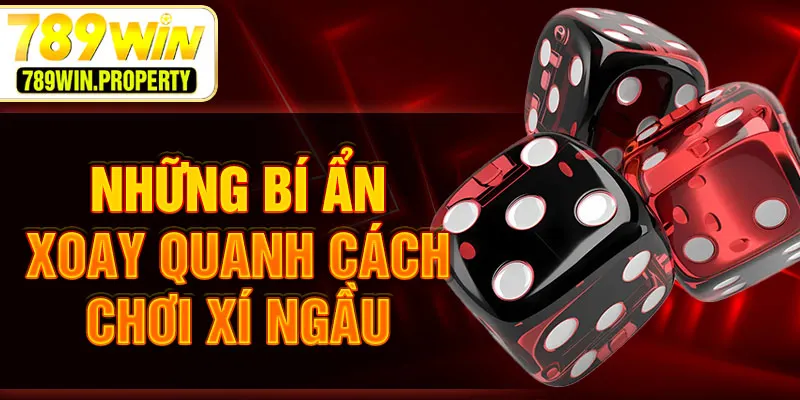 Những bí ẩn xoay quanh cách chơi Xí Ngầu