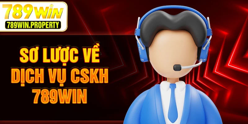 Sơ lược về dịch vụ CSKH 789WIN