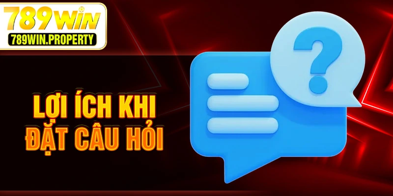 Các câu hỏi quan trọng
